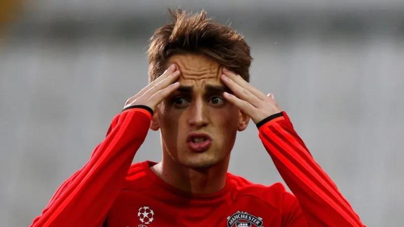 adnan januzaj
