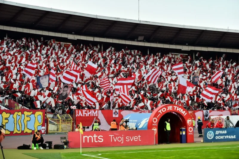 crvena zvezda delije