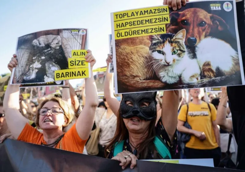 turska protesti psi lutalice