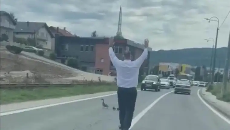 pačići