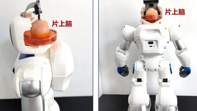 robot sa ljudskim mozgom