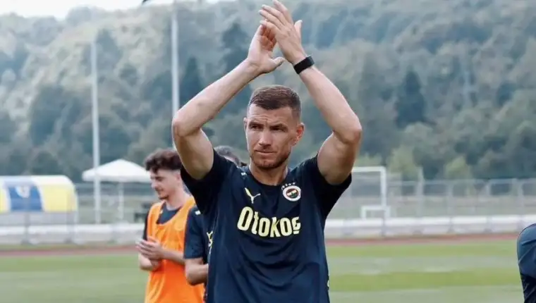 dzeko