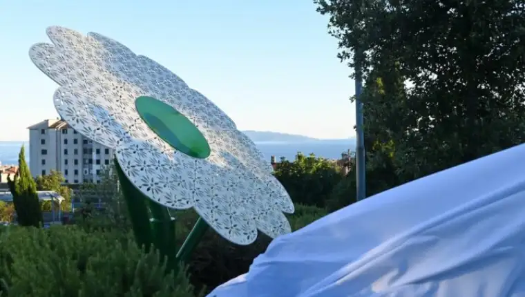 cvijet srebrenice