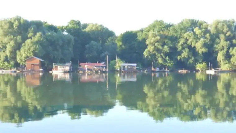 sava