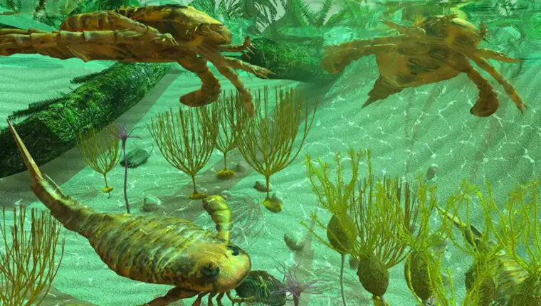 Cambrian explosion