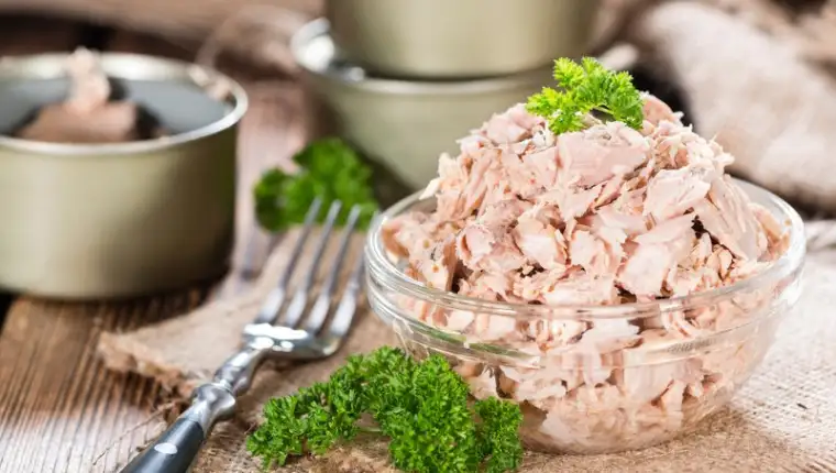 tuna