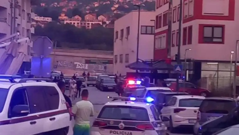 pucnjava šip policija