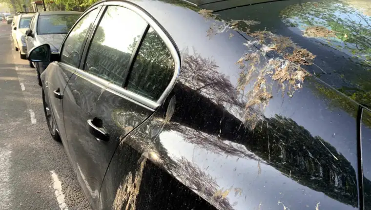 auto izmet