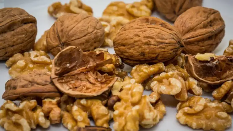 walnut-2816935_1280-872x610