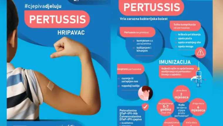 pertussis 4