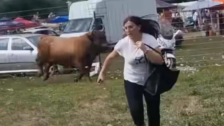 posušje korida