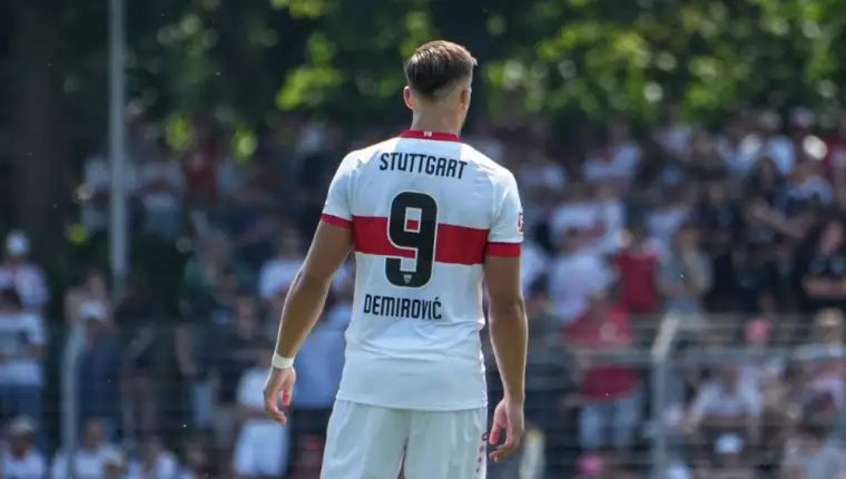 DEMIROVIC1