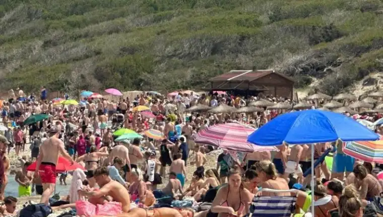 mallorca turisti