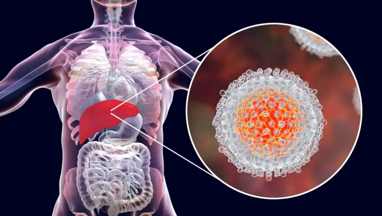 virusni hepatitis