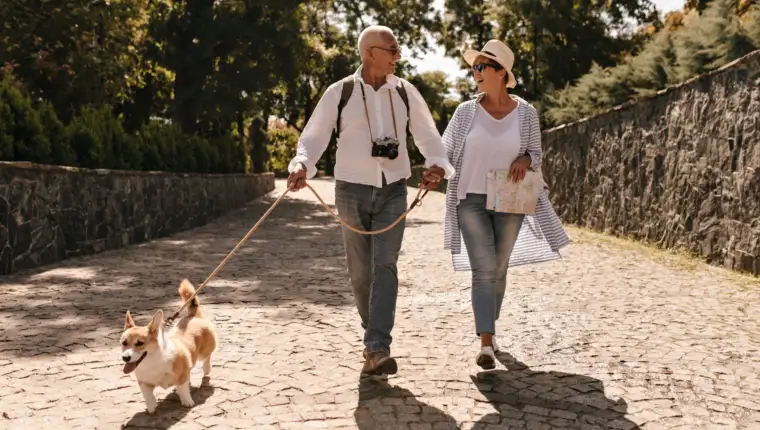 Trendy woman in hat and blue blouse walking and looking grey haired man in white long sleeve shirt with camera and corgi in park.