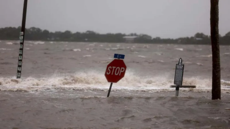 uragan debby florida