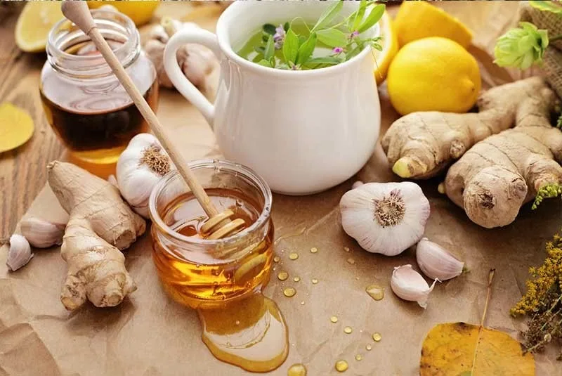 prirodni antibiotici
