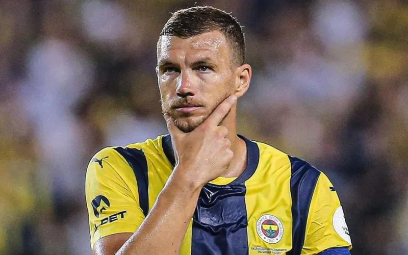 edin dzeko