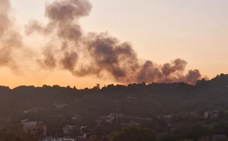 pozar, tuzla