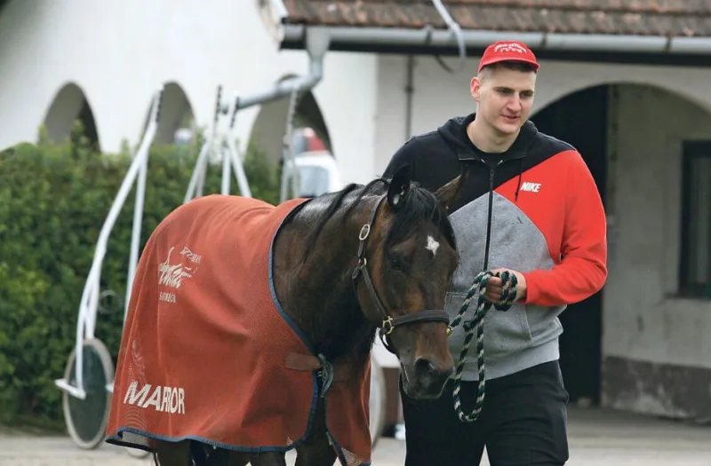 jokic-konji