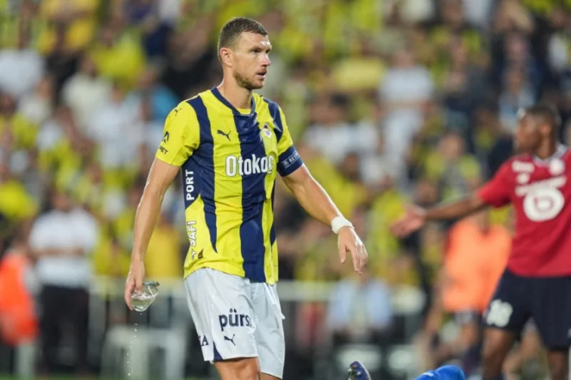 dzeko