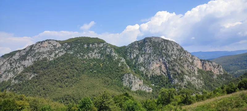 nekropola