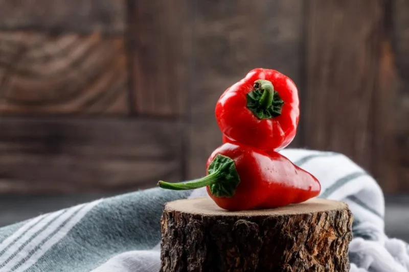 paprika