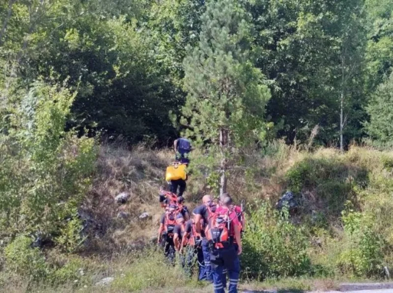 pozar zelengora