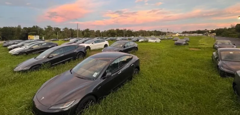 tesla