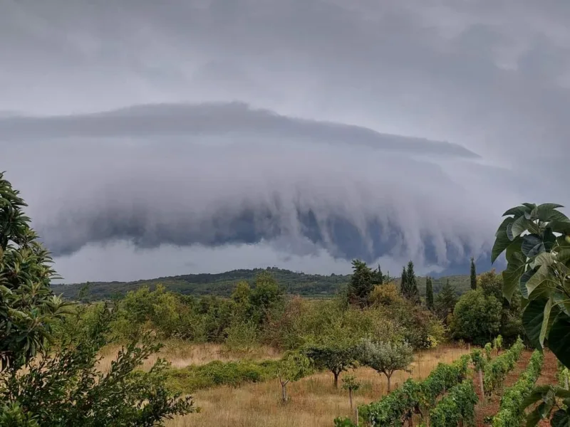 čitluk