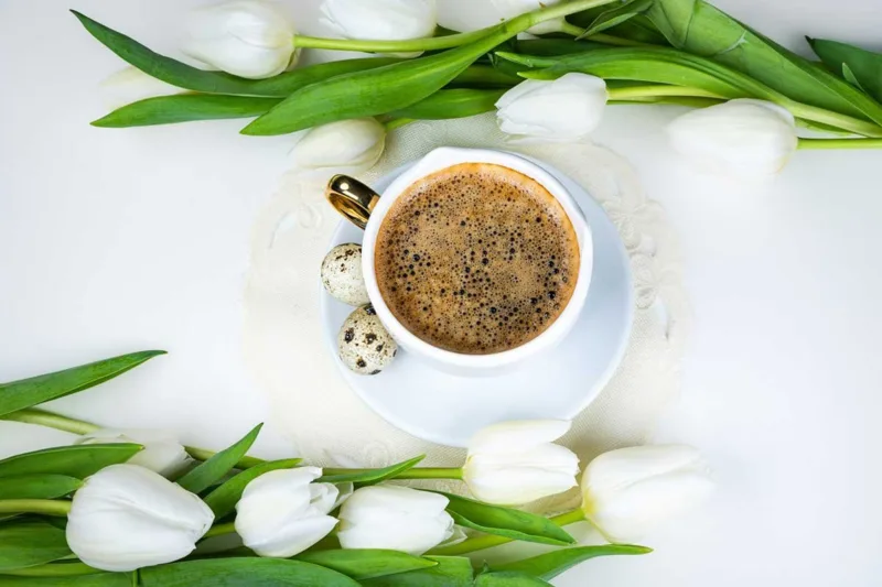 kafa, jaje