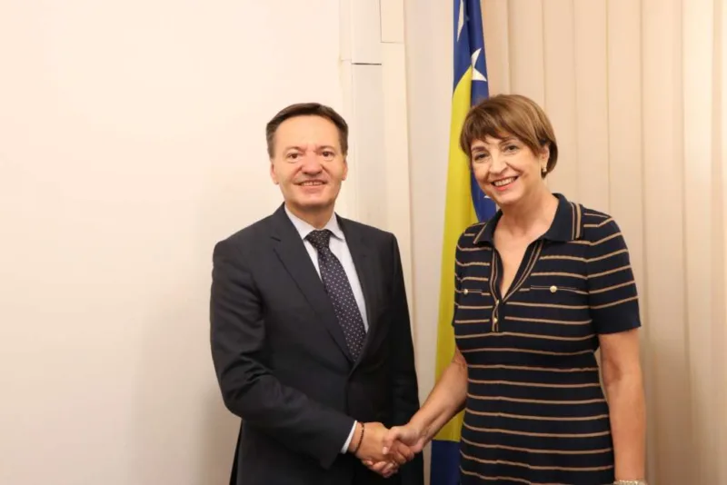 irena hadziabdic