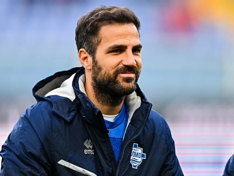 cesc fabregas