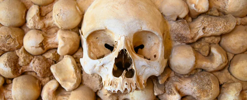 SkullPic