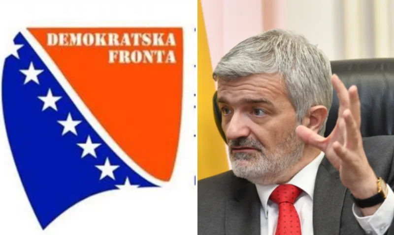 df mandic 5