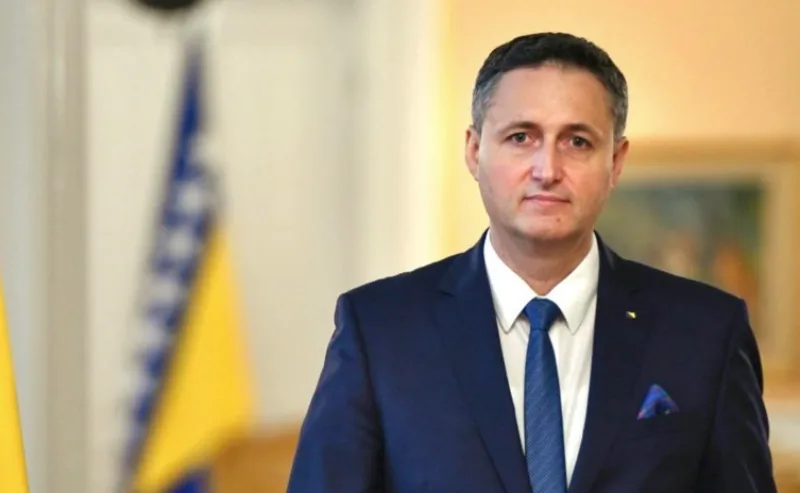 bwecirovic 7