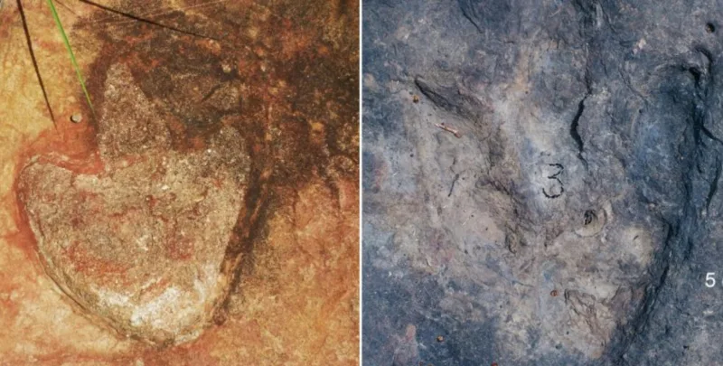dinosaurus otisak