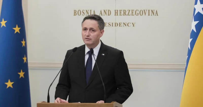 denis bećirović