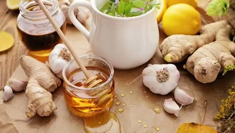 prirodni antibiotici