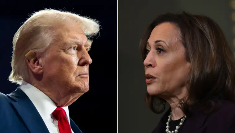 trump harris