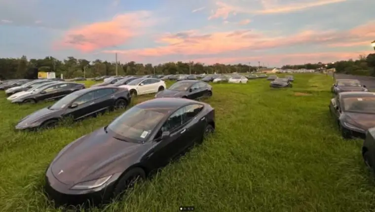 tesla