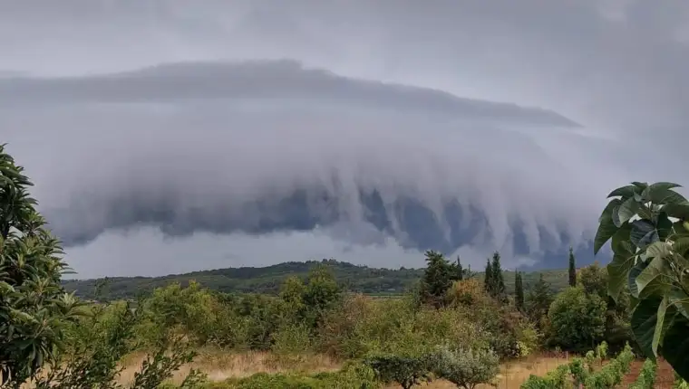 čitluk