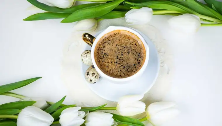 kafa, jaje