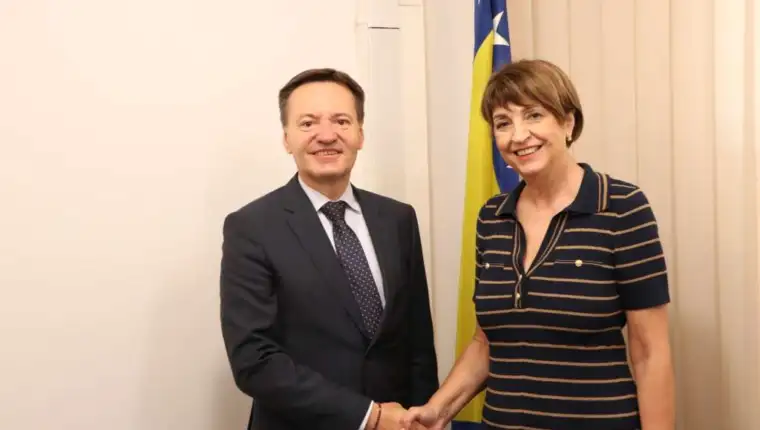 irena hadziabdic