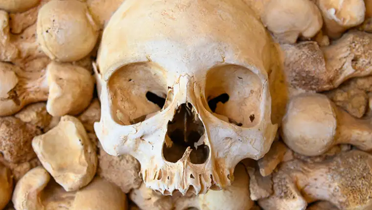 SkullPic