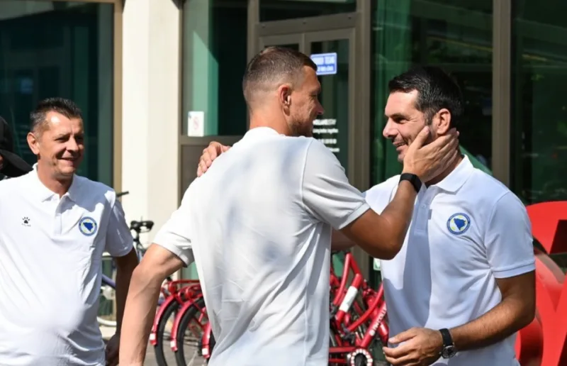 dzeko spahic 1