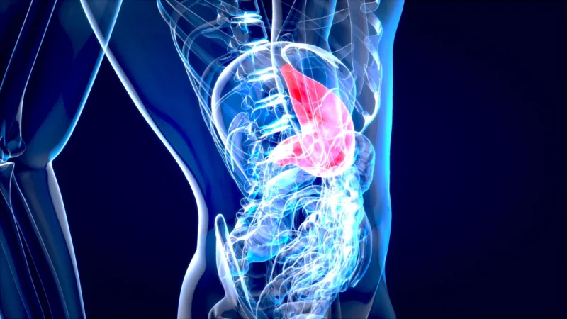 Abstract motion design of the stomach