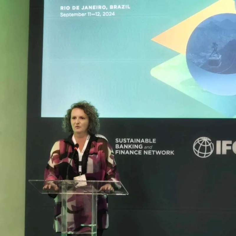 jasmina selimovic