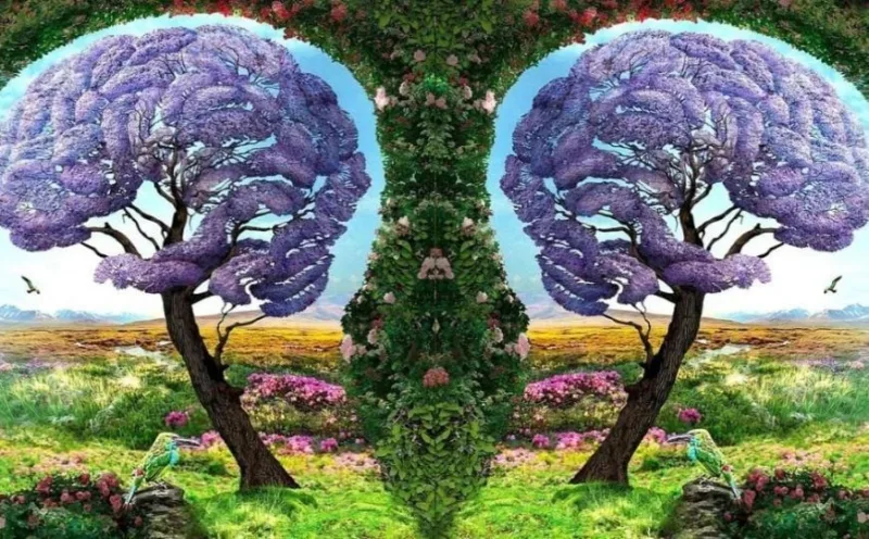 drvo_test_licnostijpg