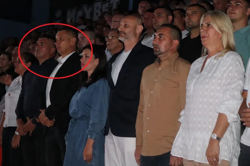 radinkovic-nesic-vulic